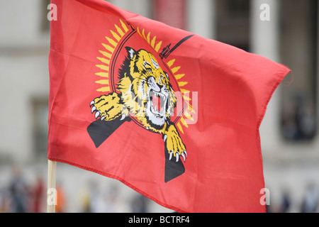 Il Tamil Tiger sventola in Trafalgar Square Foto Stock