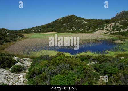 Capraia 'stagnone', Lago di Isola di Capraia, Arcipelago Toscano, Toscana, Italia Foto Stock