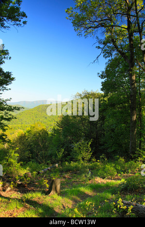 Shenandoah Mountain Trail Shenandoah Mountain West Virginia Augusta Foto Stock