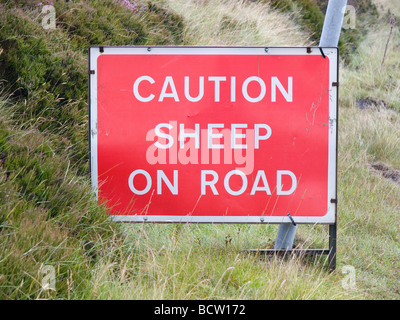 Segno Avvertenza e Attenzione pecora su strada in North Yorkshire Moors Foto Stock
