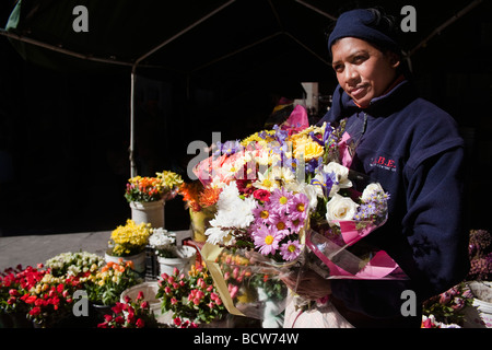 Flower lady Adderley Street, Città del Capo Sud Africa Foto Stock