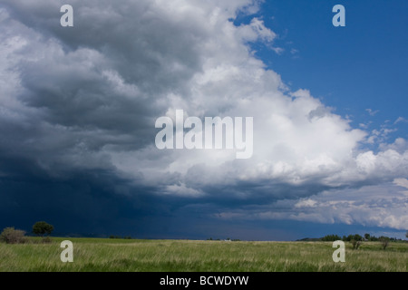 Una tempesta di estate edificio oltre il paesaggio della prateria a ovest di Calgary, Alberta. Foto Stock