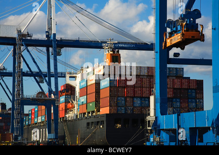 Contenitore di carico della nave in un porto, Cooper River, Charleston, Carolina del Sud, STATI UNITI D'AMERICA Foto Stock
