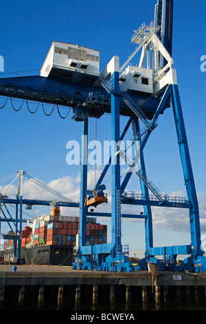 Contenitore di carico della nave in un porto, Cooper River, Charleston, Carolina del Sud, STATI UNITI D'AMERICA Foto Stock