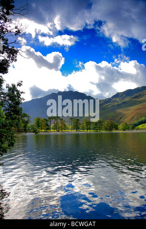 Alberi di pino sulla battigia Buttermere Honnister Pass Parco Nazionale del Distretto dei Laghi Cumbria County Inghilterra REGNO UNITO Foto Stock