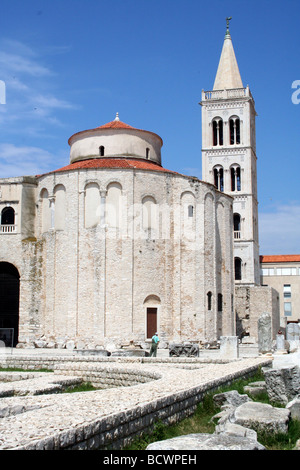 Chiesa di San Donato la Chiesa e il campanile della cattedrale di Zadar sul vecchio Foro Romano in Zadar in Dalmazia in Croazia. Foto Stock