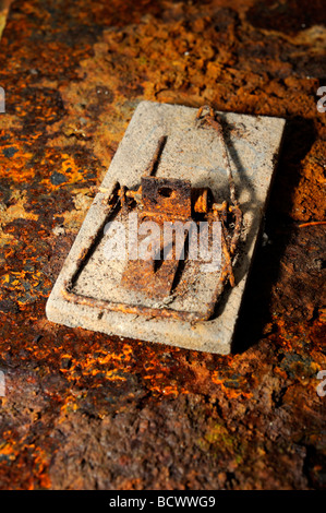 Mousetrap vecchio arrugginito sulla piastra di ferro Foto Stock