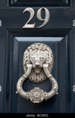 Lions Head porta respingente e numero 29 su una porta in stile georgiano in Merrion Square a Dublino Repubblica di Irlanda Foto Stock