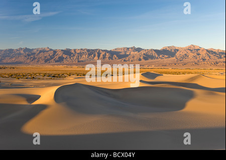 USA California Parco Nazionale della Valle della Morte Mesquite Flat dune di sabbia Foto Stock