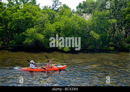 Fare kayak in Lake Worth, una conservata intatta, estuario, John D. MacArthur Beach State Park, North Palm Beach, Florida, Stati Uniti d'America Foto Stock
