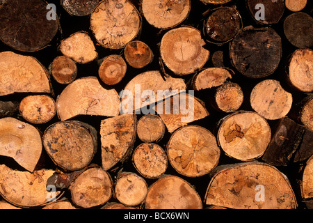 Italia, Abruzzo, primo piano in legno Foto Stock