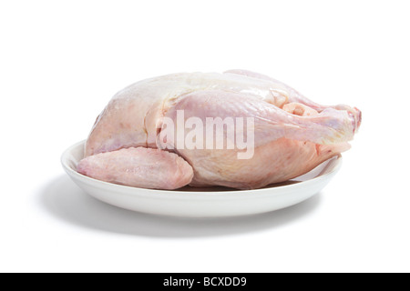 Il pollo crudo su piastra Foto Stock