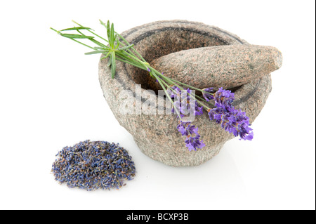 Mortaio di pietra per la preparazione delle erbe cibo e medicine Foto Stock
