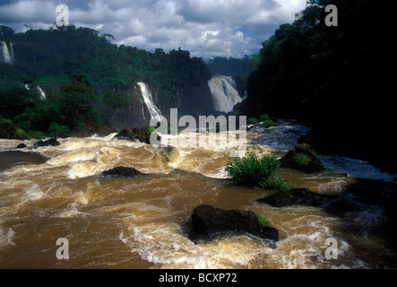 Cascate lungo il confine Brazil-Argentina visto dal lato Brasiliano a Iguassu Falls in Iguassu Falls National Park a Iguassu in Brasile a sud Foto Stock
