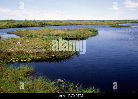 Havre St Pierre Duplessis, fiume San Lorenzo, quebec, Canada Foto Stock