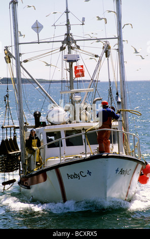 Barca, havre St Pierre Duplessis, Saint Lawrence golfo, quebec, Canada Foto Stock