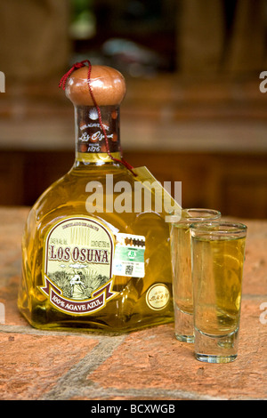 Tequila come bevanda fatta a Los Osuna agave distilleria, una fabbrica di tequila vicino a mazatlan, Messico. Foto Stock