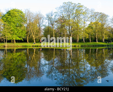 Gli alberi si riflette nel lago a Highfields Park, Beeston Nottingham Nottinghamshire England Regno Unito Foto Stock