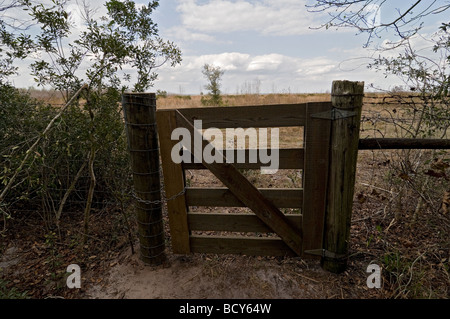 Gate leading fuori nella grande Alachua Savannah a Paynes Prairie preservare parco statale, Micanopy, Florida Foto Stock
