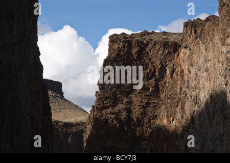 Il paesaggistico e selvaggio fiume OWYHEE taglia un profondo canyon attraverso l'EST OREGON Foto Stock