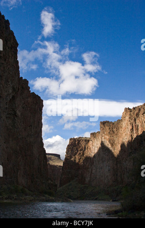 Il paesaggistico e selvaggio fiume OWYHEE taglia un profondo canyon attraverso l'EST OREGON Foto Stock