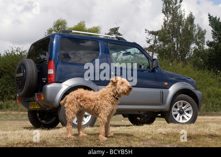 Suzuki Jimny SZ4 2009 Foto Stock