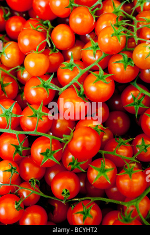 Freschi pomodori a grappolo Foto Stock