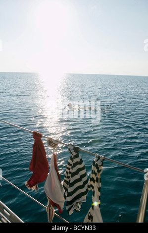 Donna nuoto mentre i vestiti a secco su barca Foto Stock