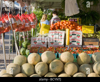 Meloni fragole cipolle i pomodori in un mercato delle pulci in Shipshewana Indiana Foto Stock