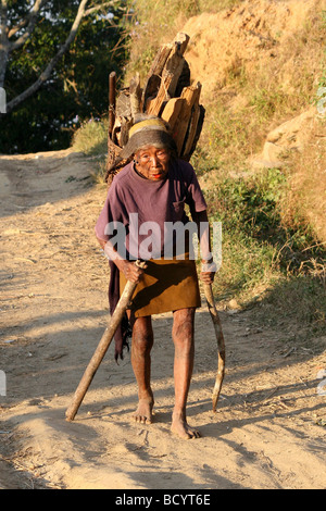 Anziani Konyak Naga tribù donna che trasportano legna da ardere Foto Stock