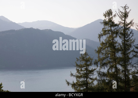 Lago d'Orta con tre alberi di pino e un lone sailboat sull'acqua. Si tratta di un tranquillo pomeriggio estivo Foto Stock