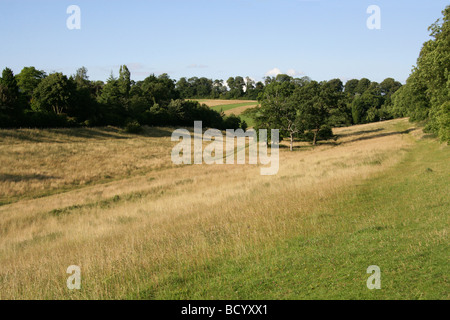 Decani lungo la Riserva Naturale, vicino Abbots Langley, Hertfordshire, Regno Unito Foto Stock