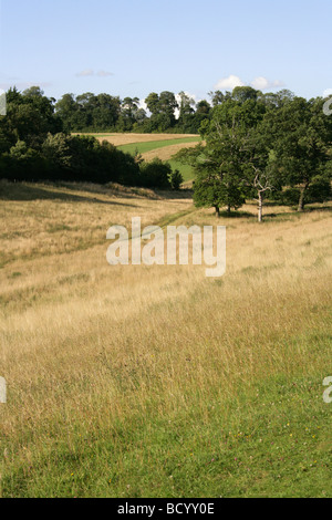 Decani lungo la Riserva Naturale, vicino Abbots Langley, Hertfordshire, Regno Unito Foto Stock