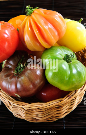 Cesto in Vimini pieno di variopinte cimelio di pomodori Foto Stock