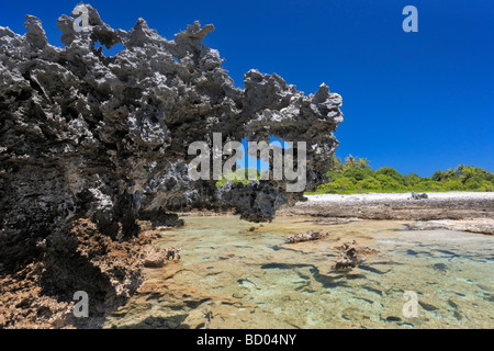 Rocce della barriera corallina in Rangiroa, Arcipelago Tuamotu, Polinesia Francese Foto Stock