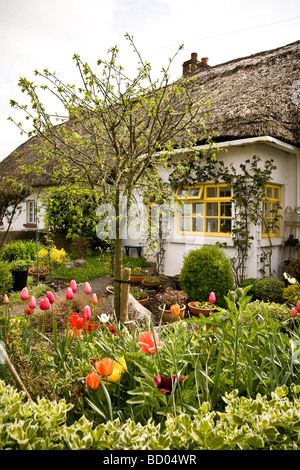Cottage con il tetto di paglia con giardino a Adare contea di Limerick Irlanda Foto Stock