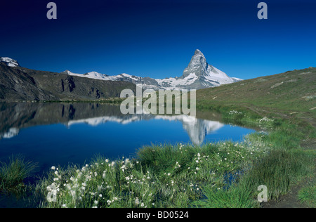 Matterhorn riflettendo in Stellisee zermatt Alpi svizzere Svizzera Foto Stock