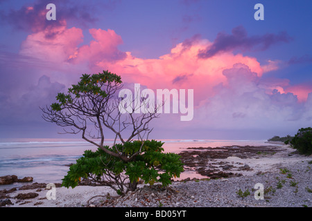 Pacific Ocean View all'alba, Rangiroa, Arcipelago Tuamotu, Polinesia Francese Foto Stock