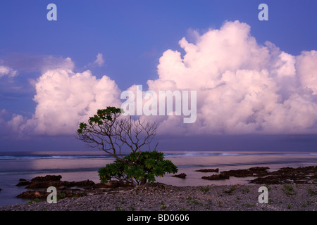 Pacific Ocean View all'alba, Rangiroa, Arcipelago Tuamotu, Polinesia Francese Foto Stock