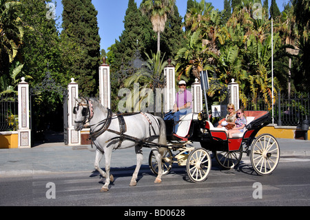 Carrozza a cavallo ride, Città Vecchia, Marbella, Costa del Sol, provincia di Malaga, Andalusia, Spagna Foto Stock