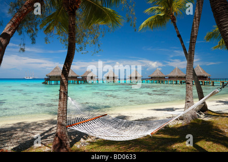 Kia Ora Resort, Rangiroa, Arcipelago Tuamotu, Polinesia Francese Foto Stock