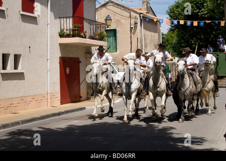 Camargue custodi sui loro cavalli bianchi mandria di tori neri attraverso le strade sul loro modo all'arena per la corrida Foto Stock