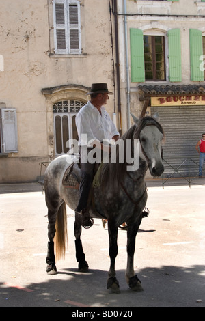 Camargue custodi sui loro cavalli bianchi mandria di tori neri attraverso le strade sul loro modo all'arena per la corrida Foto Stock