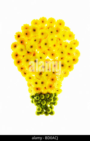 Una lampada fatta di fiori Foto Stock