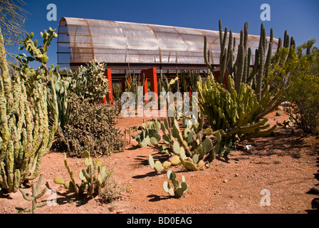 Desert Botanical Gardens, Phoenix, Arizona Foto Stock