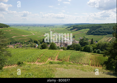 Vigneti a Pernand Vergelesses Cote d'Or Borgogna Francia con Beaune in distanza Foto Stock