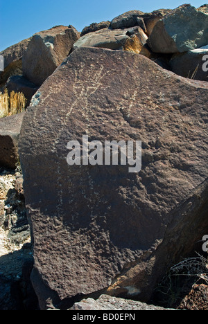 Incisioni rupestri in Petroglyph National Monument, Albuquerque, Nuovo Messico Foto Stock