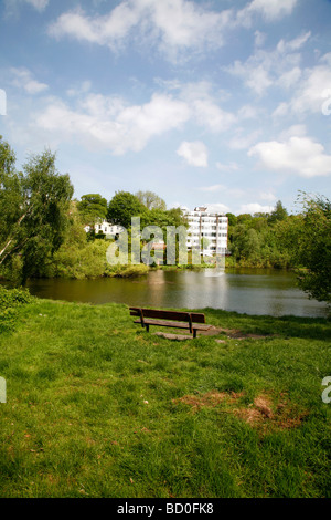 Vale of Health stagno, Hampstead Heath, London, Regno Unito Foto Stock