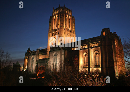 Liverpool Cattedrale Anglicana illuminazione notturna, Merseyside England, Regno Unito Foto Stock