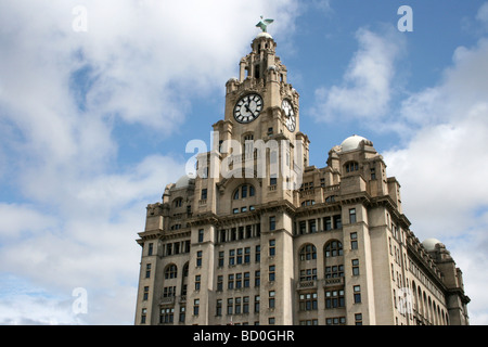 Il Royal Liver Building, Pier Head, Liverpool, Merseyside, Regno Unito Foto Stock